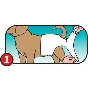 Simple solution disposable dog diapers for bitches |Super absorbent spout -safe fit |Watine insicator 12 pack extra-Small - product information 6