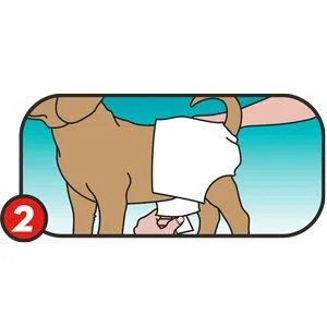 Simple solution disposable dog diapers for bitches |Super absorbent spout -safe fit |Watine insicator 12 pack extra-Small - product information 7