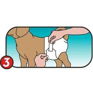 Simple solution disposable dog diapers for bitches |Super absorbent spout -safe fit |Nativity Endicator 12 Pack S (1 Pack) - product information 8