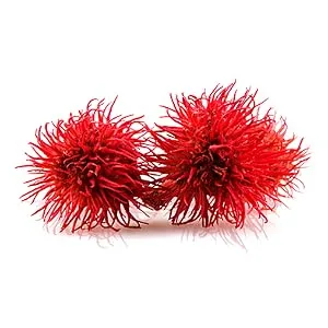 SANTE Natural Cosmetics Multi Effect Beauty Blush 01 Coral 8g 01 Coral 8 g (1 pack) - Bio Rizinusöl
