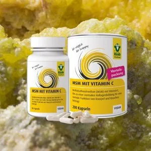 Raab Vitalfood MSM capsules methylsulfonylmethane vitamin C 200 pieces highly pure vegan - Rhodiola