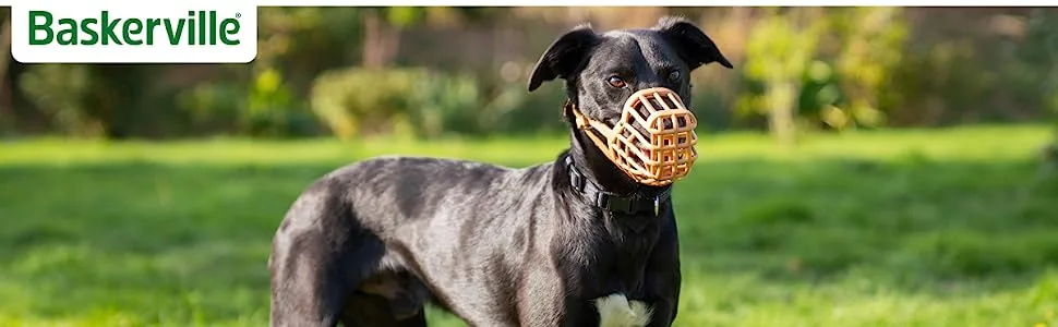 Baskerville muzzle for dogs with a wide snout size 13 dogs can pant and drink no browsing in waste biting protection padded nose strap brown - Baskerville Anti-Scavenge Muzzle DE