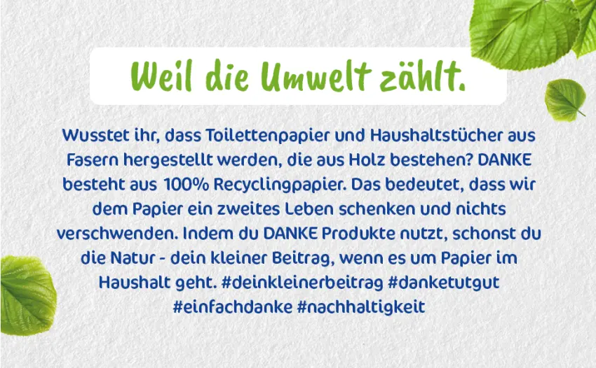Thanks handkerchiefs in the rectangular box 4 -layer - 12 x 80 pieces - paper handkerchiefs made of 100 % recycling paper environmentally friendly dermatologically tested 960 pieces (1 Pack) - Danke Household Towel