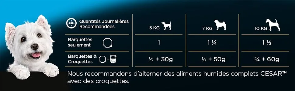 Cesar Pack Bowls 6x4x150g In Gel: Lamb Veal Beef Chicken. 150 g (Pack of 24) - Cesar