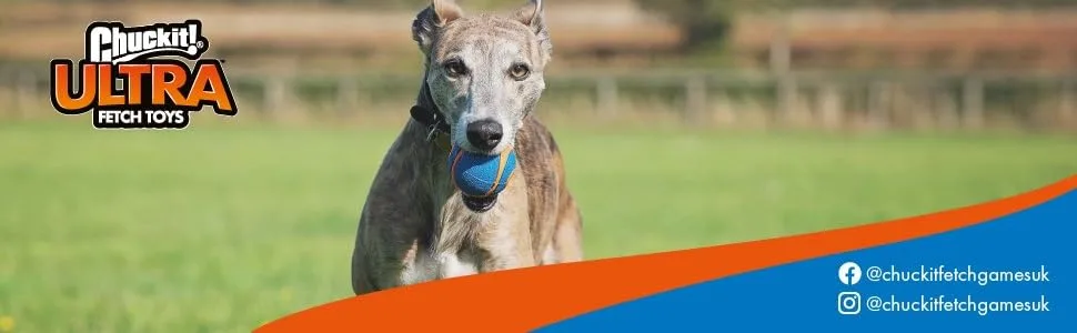 Chuckit! CH52069 Ultra Squeaker Ball Large 1-pack Multi L - Chuckit Apportierball, Quietschendes Hundespielzeug, Spielzeugbälle für Hunde