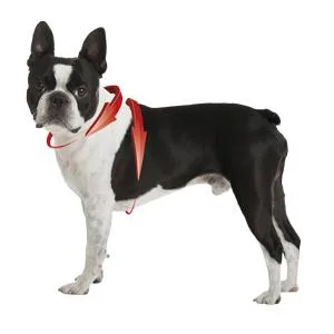 Nobby Harness Classic raspberry Chest: 70/90 cm Width: 25 mm 1 piece raspberry Length 70-90 cm Width 25 mm - product information 4