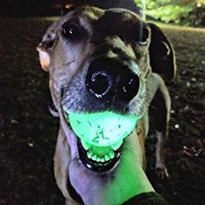 Chuckit! CH32315 Max Glow Ball Extra-Large Extra-Large 1-Pack - product information 3