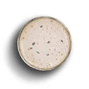 Layenberger 3K protein shake Stracciatella 80 % protein and only 4.0 % carbohydrates with only 2.1 g sugar (1 x 360 g) Stracciatella 2023 - 3K Shake