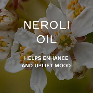 REN Clean Skincare Neroli and Grapefruit Body Cream - Zutat 2