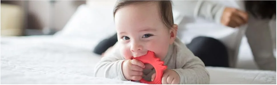 Dr Brown's Flexees Friends Fox Teething Ring - Fuchs-Beißring