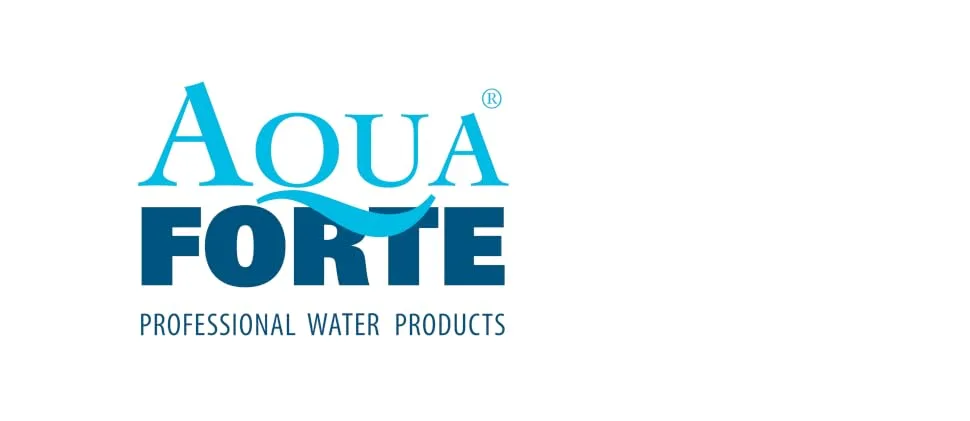 Aquaforte ABS implementation with counter -flange 110 mm (inside diameter) double inner adhesive connection including galvanized screws black - Über AquaForte