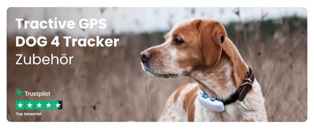Tractive GPS Tracker for Dogs. Rubber Clips (Extra Large) 1 Piece (Pack of 3) Blue Blue Extra Large - hund gps