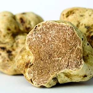 Viani & Co. Truffle butter with white truffles 80 g - Weiße Trüffel