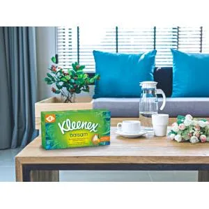 Kleenex Balsam tissues 4-ply ideal for colds and allergies 4 x 12 packs bulk pack 1 piece (pack of 48) - product information 2