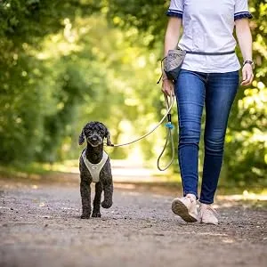 Stretch Comfort Leash Gray M - product information 3