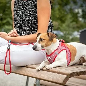 Stretch Comfort Leash Gray M - product information 6