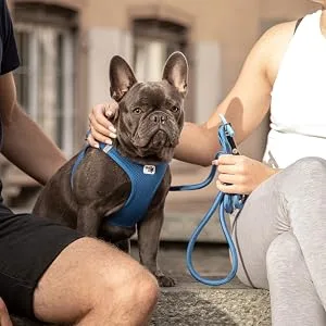 Stretch Comfort Leash Gray M - product information 8