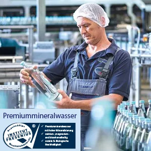 Gerolsteiner and Fruit Apple Lemon DISPOSABLE (6 x 0.75 l) - Labor