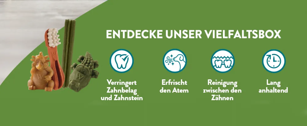 Whimzees Mixed multi -fold box natural grain -free dental care snacks couch sticks for large dogs 14 pieces 14 pieces (1 Pack) - WHIMZEES Zahnpflegesnacks verringern Zahnbelag und Zahnstein