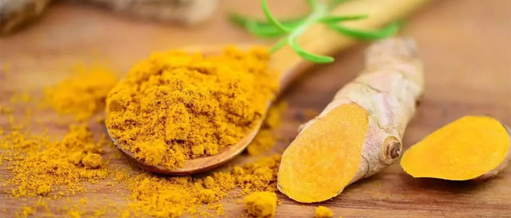Liyalan Turmeric Body Scrub Moisturizing and Exfoliating Body, Face, Hand, Foot Scrub,Nourishes Skin,Deep Cleansing 7.8oz - Turmeric series