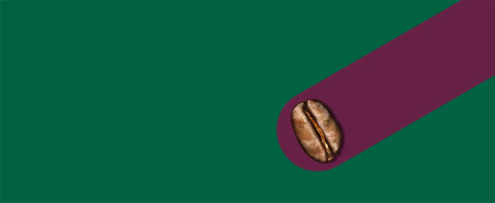 STARBUCKS Caff Verona Dark Roast Filter Coffee 200g (Pack of 6) 200 g (Pack of 6) Caff Verona Single - Dark Roast