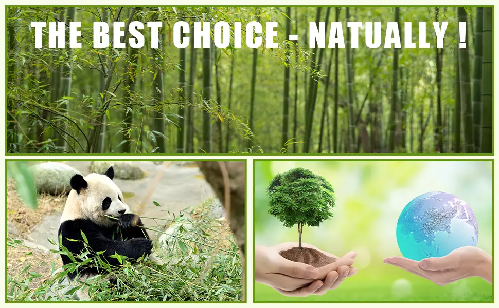 12 Pack Bamboo Toothbrushes with Soft Bristles Natural Eco Friendly Biodegradable Charcoal Toothbrushes Colorful 12 pcs - product information 4