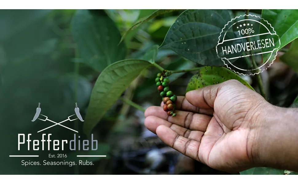 Juniper berries completely from wild collection juniper premium organic quality 200g - by Pfefferdieb 200 g (1 pack) - Pfefferdieb Gewürze Gewürzmanufaktur Handverlesen