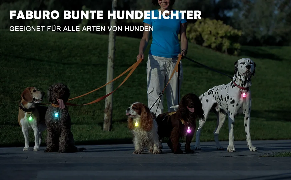 Faburo 6pcs Dog Light Pendant Safety Clip-On LED Light 3 Flashing Modes - Hunde Leuchtanhänger