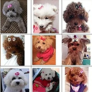Carykon Pet Hair Bows with Elastic Band for Yorkie Small Dogs Assorted Colors 50pcs - Warenpräsentation