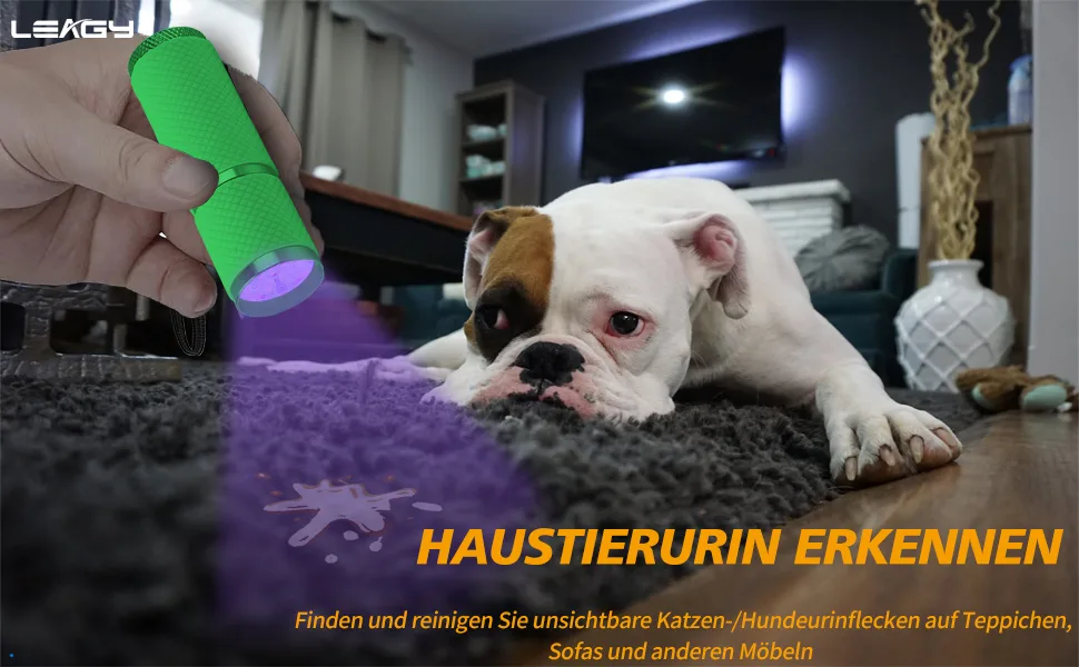 Leagy 2-pack Mini-UV flashlight with 9 LEDs and batteries-pet urine detector for dog/cat fluorescent agents dry spots falsification detection banknotes bed bugs etc. (pink) - Finden und reinigen Sie unsichtbare Katzen-/Hundeurinflecken auf Teppichen, Sofas und anderen Möbeln