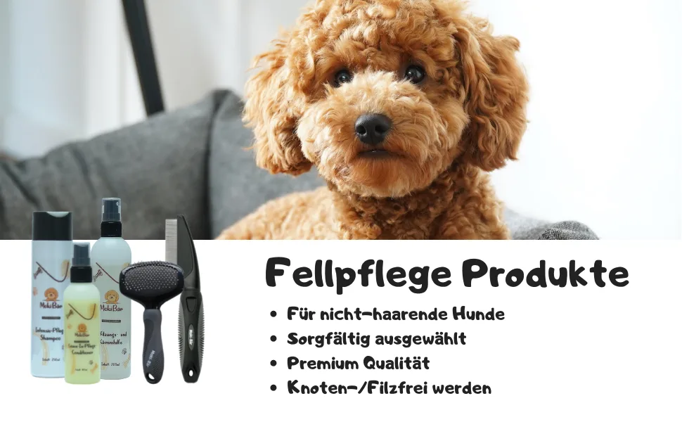Moki B r Softbr ste Dog brush poodle with protective knobs for particularly sensitive animals i ideal for non -hair ending dogs i small s (1 Pack) - Moki Bär Fellpflege Produkte