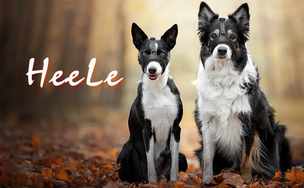 Heele muzzle for dog with a head belt dog muzzle blast no longer rubbing dog muzzle. Adjustable loop dog muzzle muzzle muzzle against chewing muzzle for large medium dogs green m m (1 Pack) uni green - HEELE QSL Maulkörb für Hunde