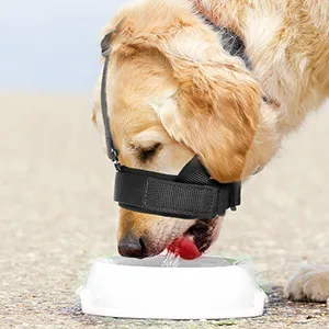 Heele muzzle for dog with a head belt dog muzzle blast no longer rubbing dog muzzle. Adjustable loop dog muzzle muzzle muzzle against chewing muzzle for large medium dogs green m m (1 Pack) uni green - HEELE QSL Maulkörb für Hunde