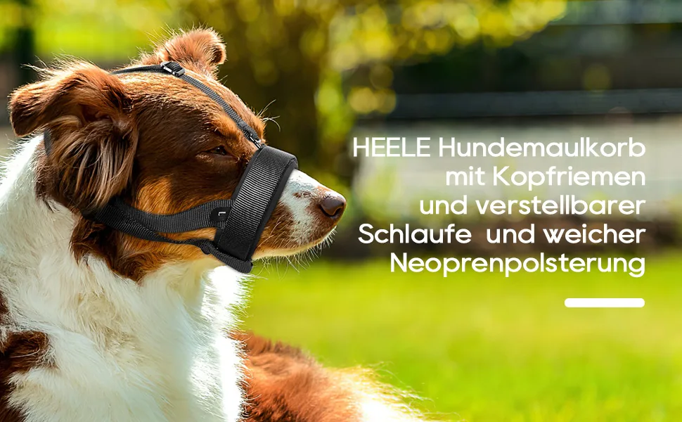 Heele muzzle for dog with a headband dog muzzle blast no rubbing dog muzzle. Adjustable loop dog muzzle muzzle muzzle against bite muzzle for large dogs black XL XL (1 Pack) black - HEELE QSL Maulkörb für Hunde