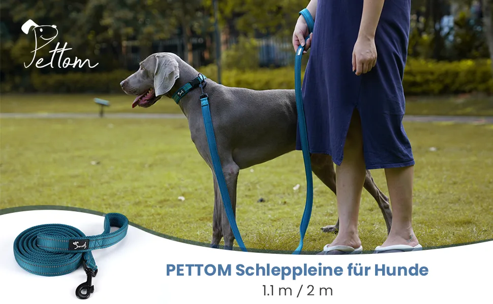 Kaka mall dog leash high density nylon material reflective design good for training and daily use dog leash padded blue 2.5 * 120cm 2 m (1 Pack) blue - PETTOM Hundeleine