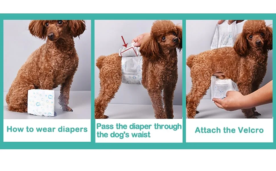 BPS BPS-2204 x 2 Disposable Dog Pet Diapers 16 Pack Super Absorbent Hygienic 4 Sizes (S) - product information 5