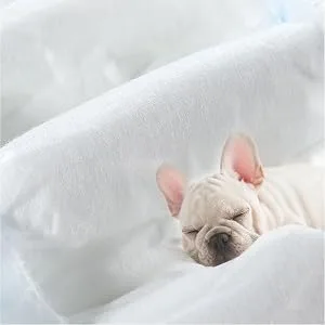 BPS BPS-2180 x 2 Disposable Dog Pet Diapers 16 Pack XXS - product information 2