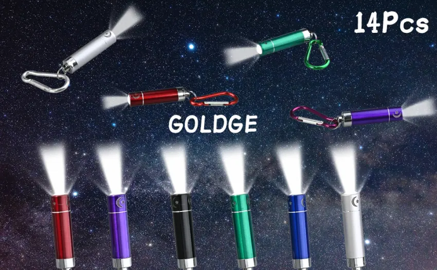 GOLDGE 14Pcs LED Keychain Flashlight Mini Torch for Outdoor Camping Cycling - Mini LED Taschenlampe