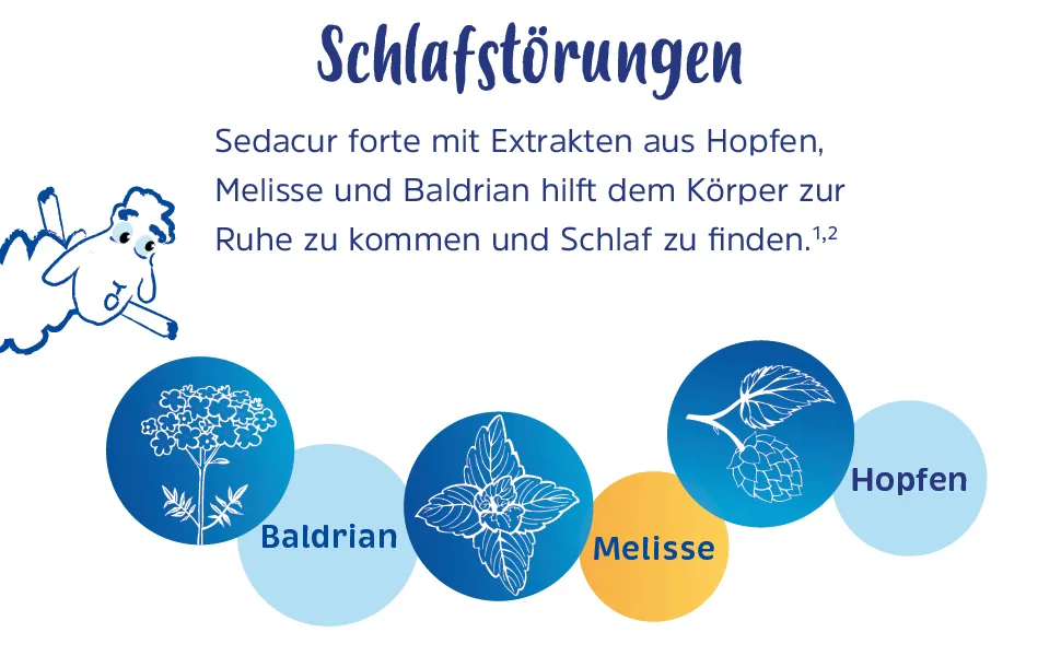 Sedacur forte 60 dragees for difficulty falling asleep & restlessness - for a more peaceful sleep - herbal 60 pieces (1 pack) - Einschlafstörungen, pflanzliches Schlafmittel, nervös, Baldrian, Schlafprobleme, Beruhigung