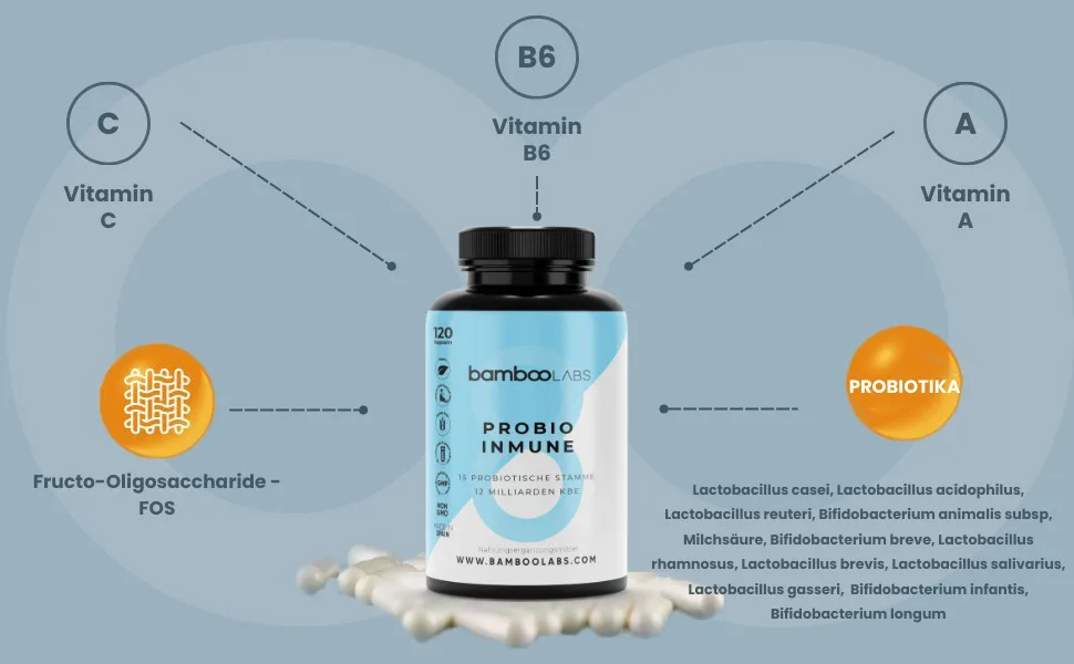 BAMBOO Labs - Darmprobiotics + complete vitamin complex probiotics capsules with lactobacillus caseei supports the immune system 120 microbioma capsules vegan - Probiotika Kapseln mit Lactobacillus Casei