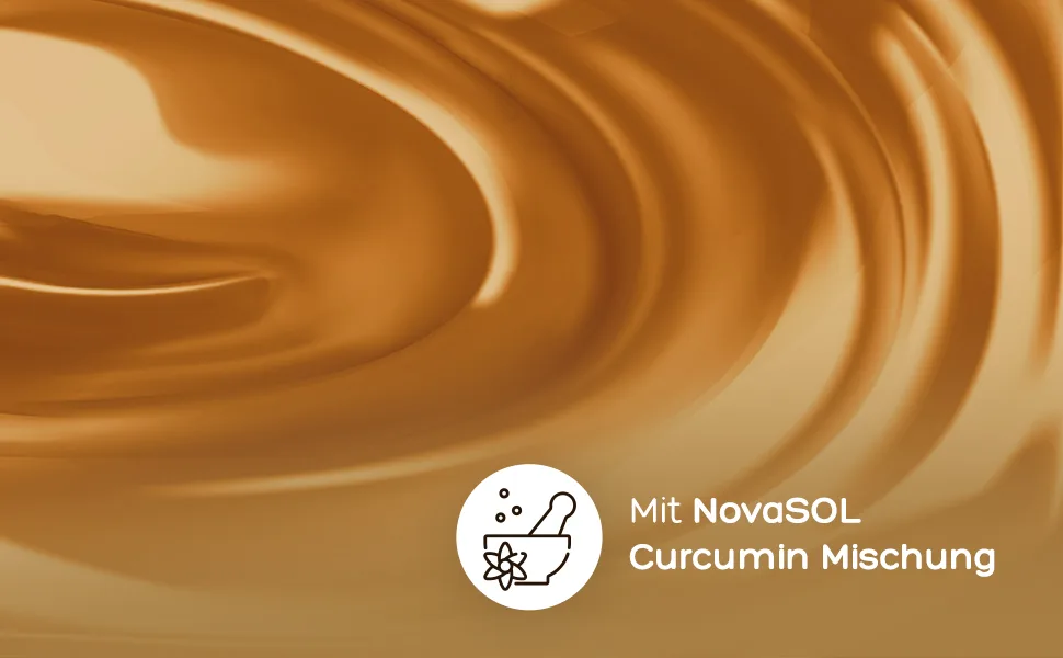 Liquid Curcumin - 60 capsules | liquid turmeric with 185x bioavailability | 500mg NovaSOL per capsule 60 pieces (1 pack) - curcumin kapseln