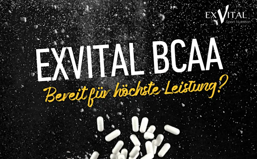 EXVital BCAA 1100 Maximum Caps amino acid 300 capsules in top quality with vitamin B6 1 pack (1 x 384g) - errtzr