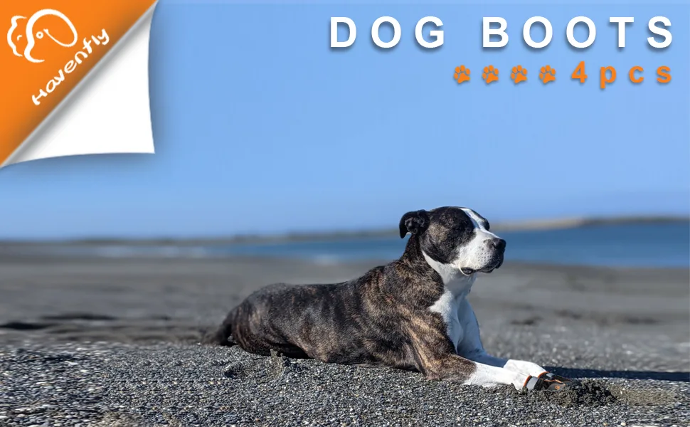 4PCs dog protection boots waterproof dog shoes with adjustable straps reflective and robust non -slip sole designed for medium and large dogs B 3 - boots