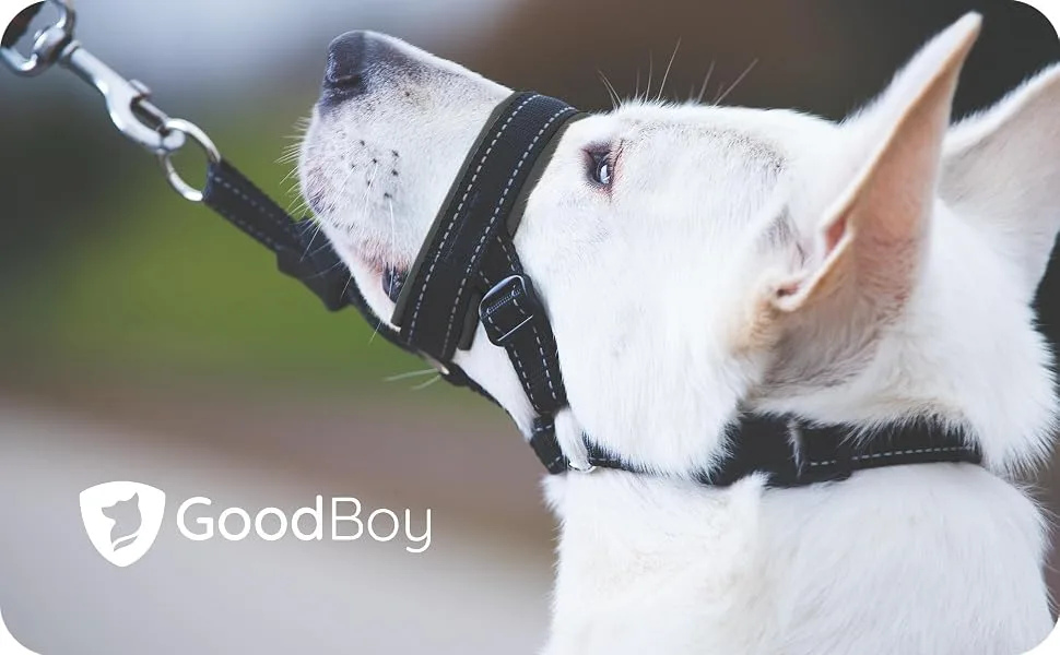 Goodboy Dog Halver with Service Birth-Stop heavy pulling on a leash-padded halter for small medium-sized and large dog sizes-Halard training instructions included Size 3 (Pack of 1) Black nylon black padding - Halfter