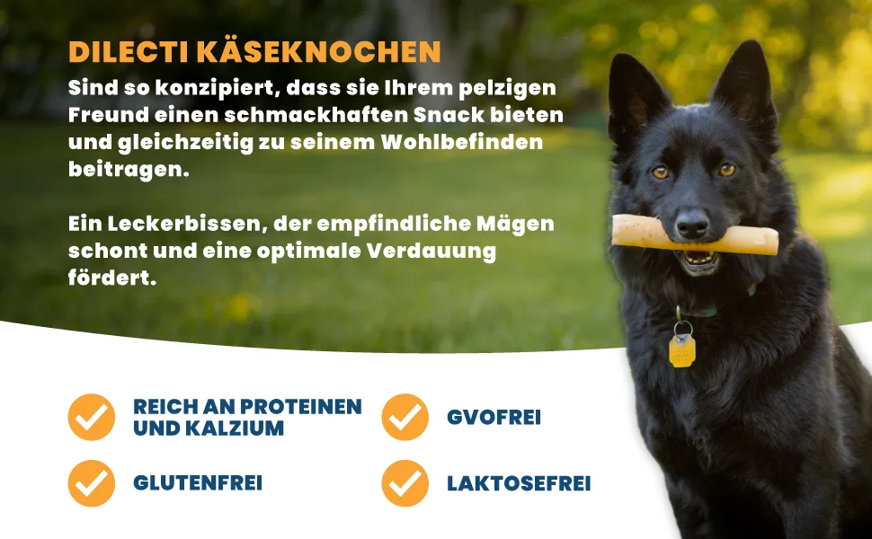 Natural cheese cheese chewing bones for dogs - very tasty hard and durable natural chewing bones will occupy your dog for a while.(Size M 5-pack) 5 set size M - cheese german 2