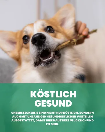 Natural cheese cheese chewing bones for dogs - very tasty hard and durable natural chewing bones will occupy your dog for a while.(Size M 5-pack) 5 set size M - german