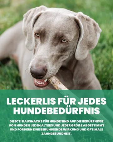 Natural cheese cheese chewing bones for dogs - very tasty hard and durable natural chewing bones will occupy your dog for a while.(Size M 5-pack) 5 set size M - german