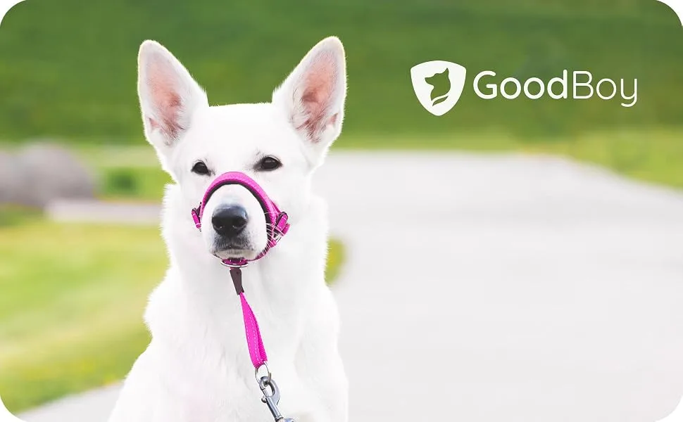 Goodboy Dog Halver with Service belt - stops heavy pulling on a leash - padded halter for small medium -sized and large dogs - halter with training instructions (possibly not in size 1 (pack of 1) pink - Halfter