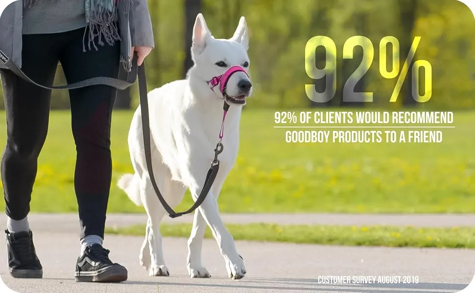 Goodboy Dog Halver with Service belt - stops heavy pulling on a leash - padded halter for small medium -sized and large dogs - halter with training instructions (possibly not in size 1 (pack of 1) pink - Kragenkopf