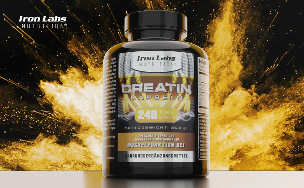 Creatin capsules - creatine monohydrate - 4.206mg per portion x 40 portions - 240 capsules - enriched with ala - vegan creatine monohydrate capsules (creatine) 240 pieces (1 Pack) - Creatine